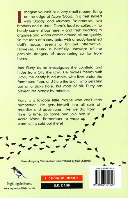 Tales of Flurry the Mouse (back cover)