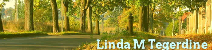 Linda M. Tegergine Books